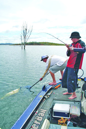Trolling along the tree-lined drop-off can produce numerous barramundi. Choose a lure that dives close to the bottom and bumps into any submerged structure.